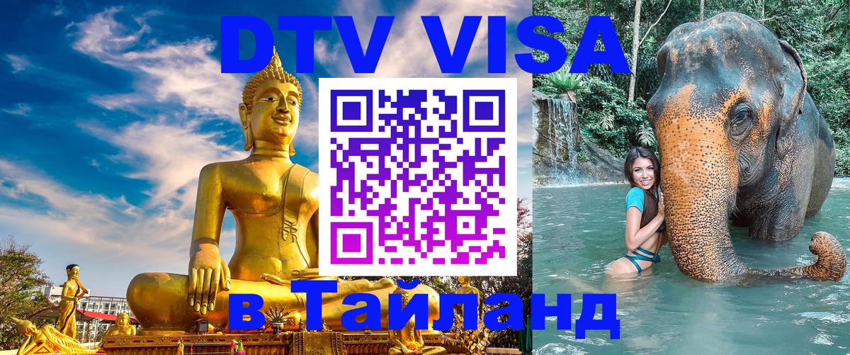 Оформление DTV визы под ключ: стоимость и тарифы, только загранпаспорт - 20.11.2025 